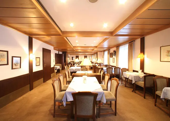 Hotel Hotel-landgasthof Schuster Greding