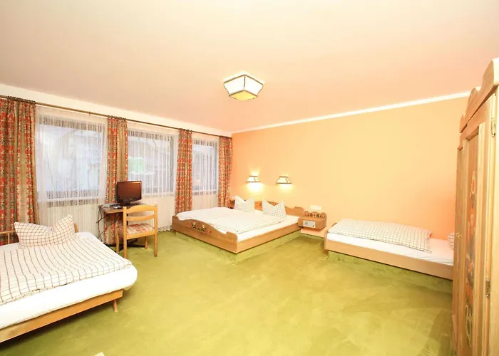 Hotel-landgasthof Schuster 3* Greding