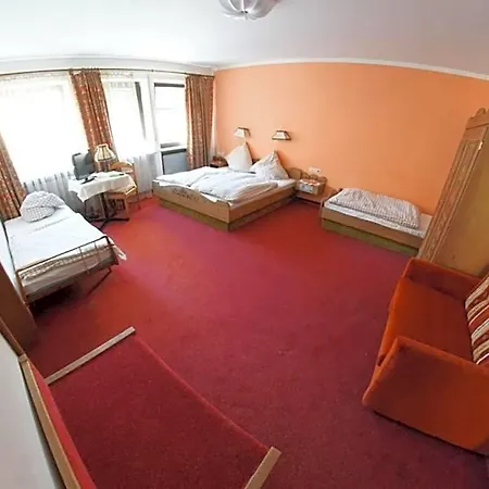 Hotel-landgasthof Schuster 3*