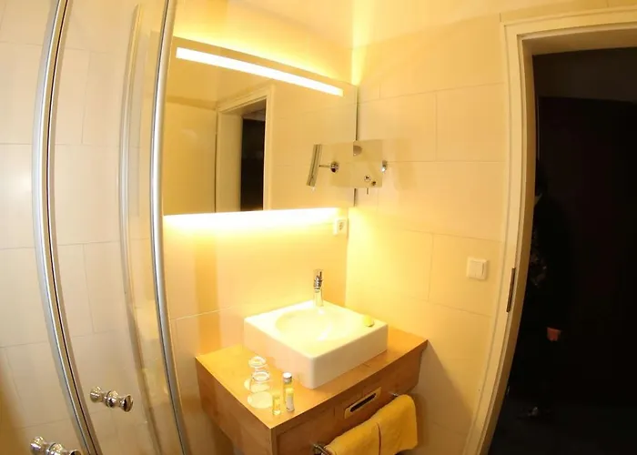 Hotel-landgasthof Schuster 3*
